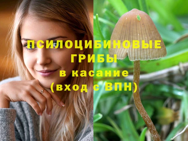 ALPHA-PVP Волоколамск