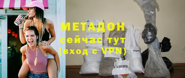 гидра Вязьма