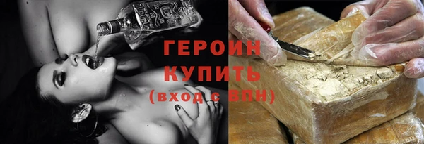 гидра Вязьма
