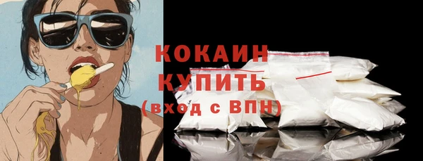 гидра Вязьма