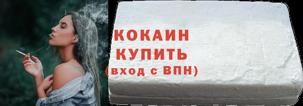 гидра Вязьма