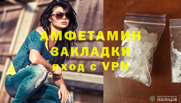 гидра Вязьма