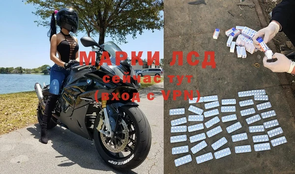 гидра Вязьма