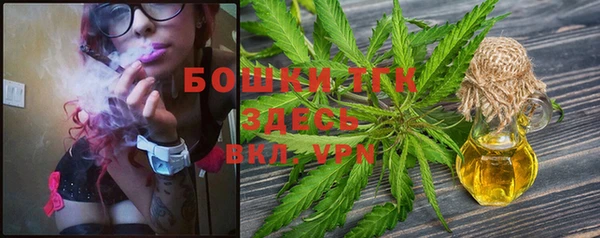гидра Вязьма