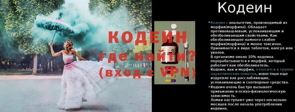 гидра Вязьма