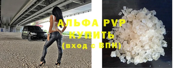 гидра Вязьма
