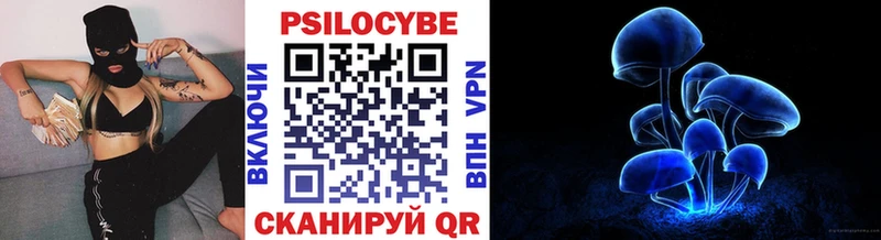 blacksprut tor  Заводоуковск  Псилоцибиновые грибы ЛСД  закладки 