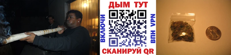 Бошки Шишки ГИДРОПОН  Заводоуковск 